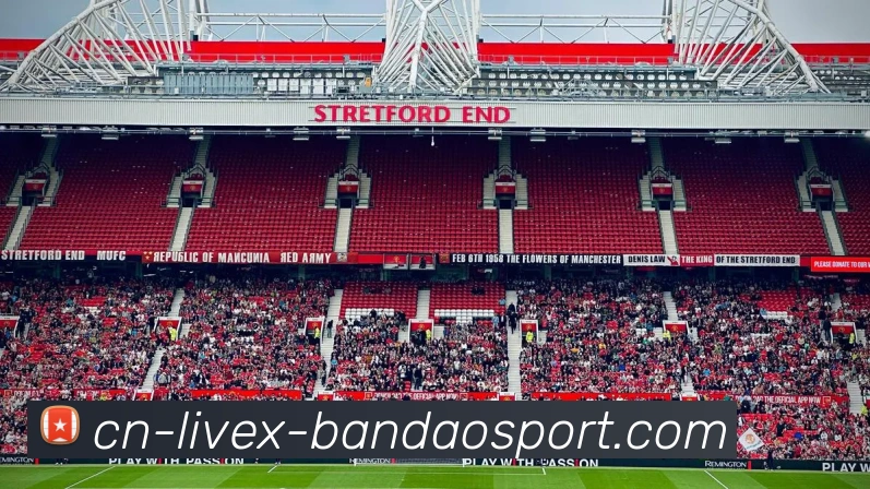 App Interface Preview